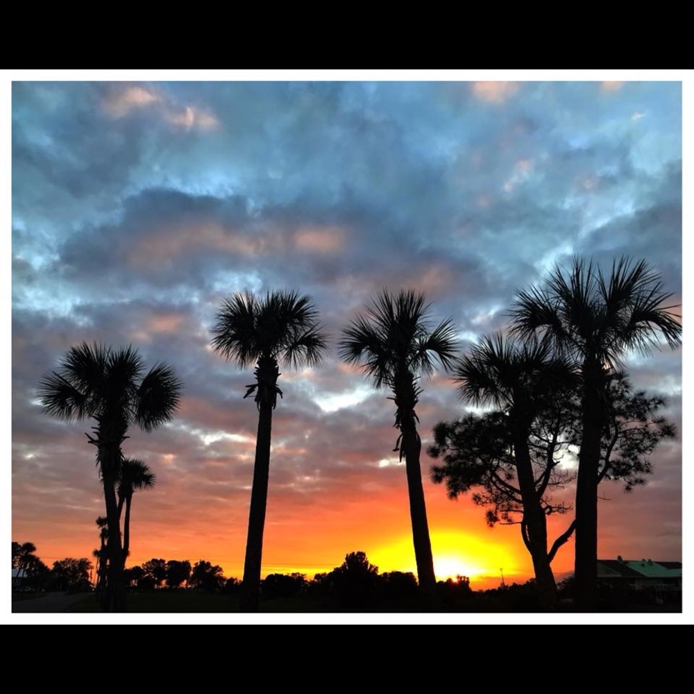 Meet your Posher, Kim